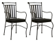 Adele Outdoor Dining Chair (Set of 2)