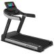 Lifespan Fitness Marathon Commercial Smart Treadmill